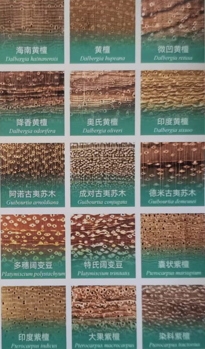 微信图片_20250908132135_488_68